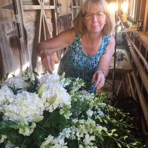 Meet your Posher, Susan